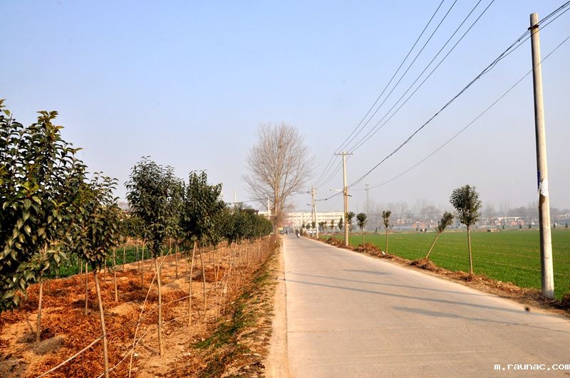 1575874590843207.jpg 036_副本.jpg