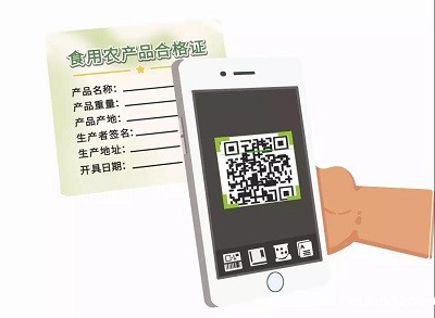 1577759566100018.jpg 5.jpg